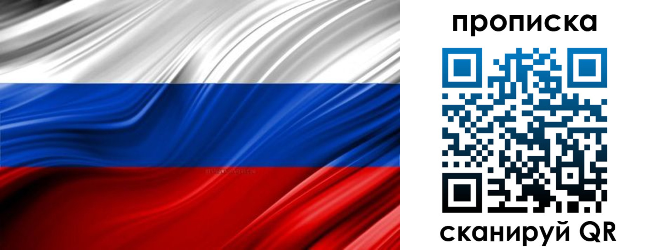 прописка для школы в Пушкино